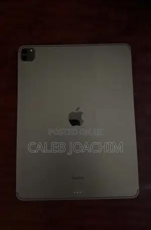 Apple iPad Pro (2022) 512 GB Gray