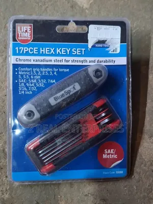 BlueSpot 17-Piece Folding Hex / Allen Key Set (Stock Code: 15182).