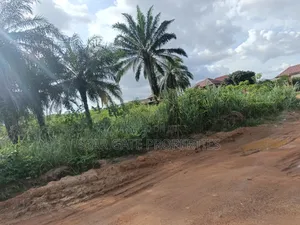 6 Plots of Land for Sale at Sewua ( Near Regional Hospital)