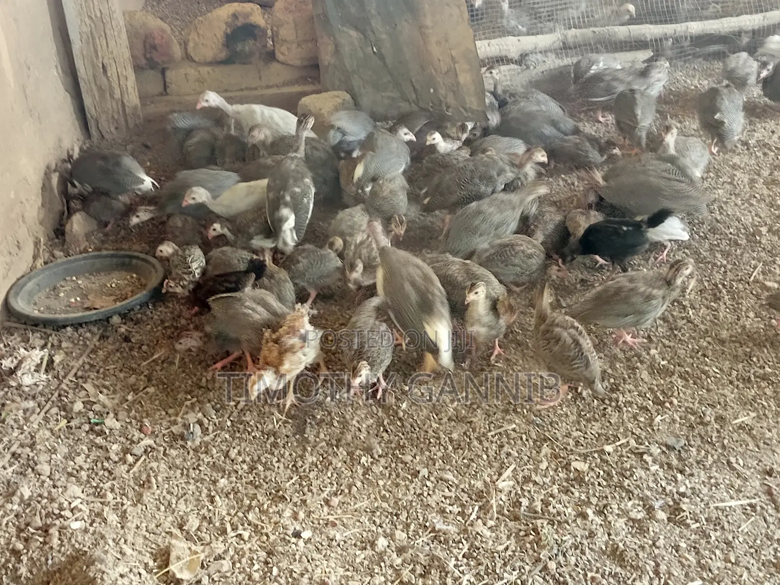 Yanfoon Farm Enterprise
