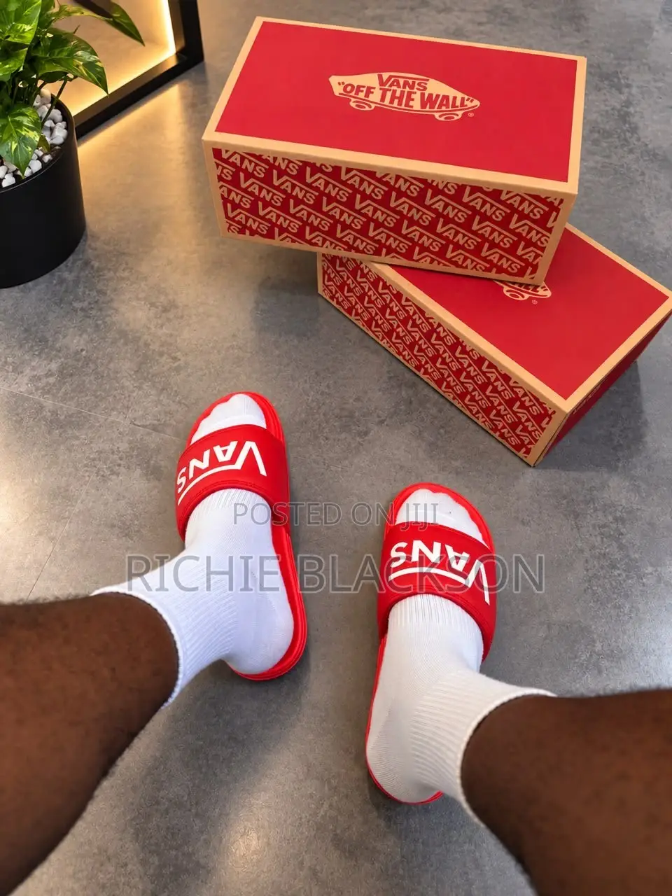 Vans Slides