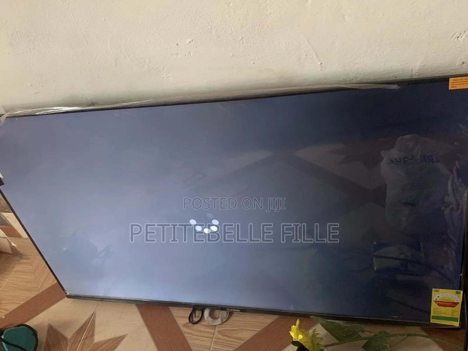 Television