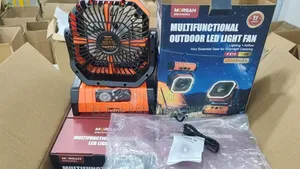 Outdoor Rechargeable Fan/Light