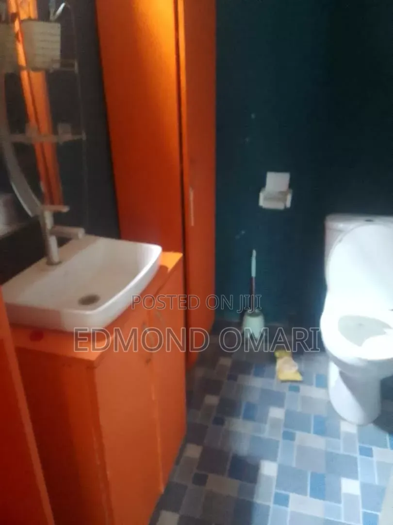 Furnished 1bdrm Apartment in Auntie Aku for rent