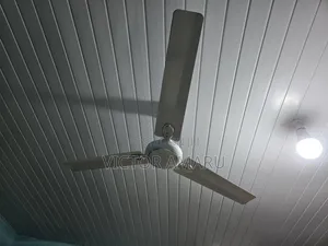 Ceiling Fan for Sale