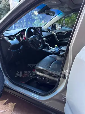 Toyota RAV4 XLE Premium AWD 2020 Gray