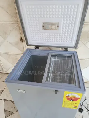 WestPool Freezer