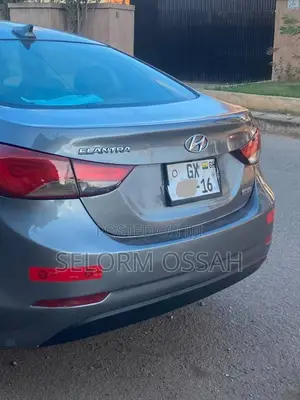 Hyundai Elantra 2014 Gray