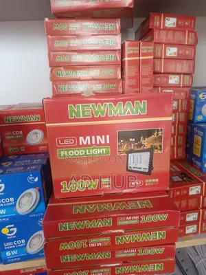 Led Mini Flood Light