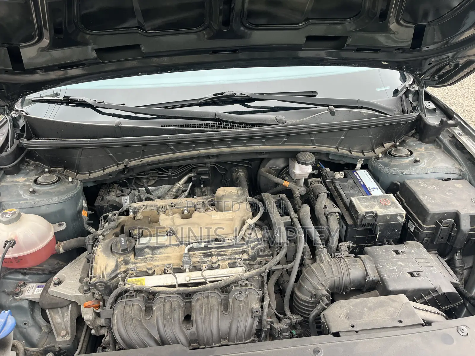 Hyundai Tucson 2022 Green