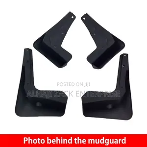 Toyota RAV4 2018 Mud Guard