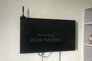 Dolphin Bay TV