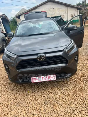 New Toyota RAV4 2023 Gray