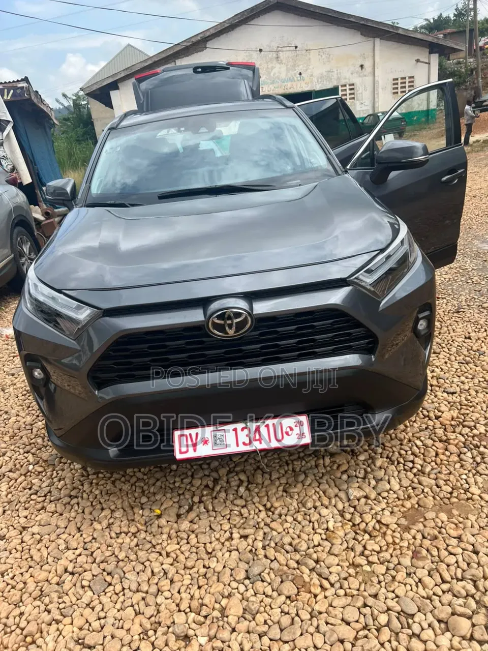 New Toyota RAV4 2023 Gray
