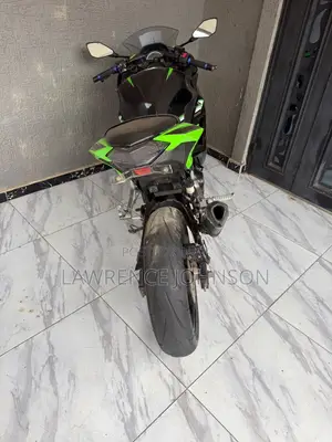 Kawasaki Ninja 300 2018