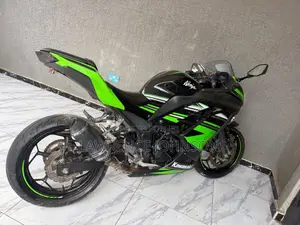 Kawasaki Ninja 300 2018