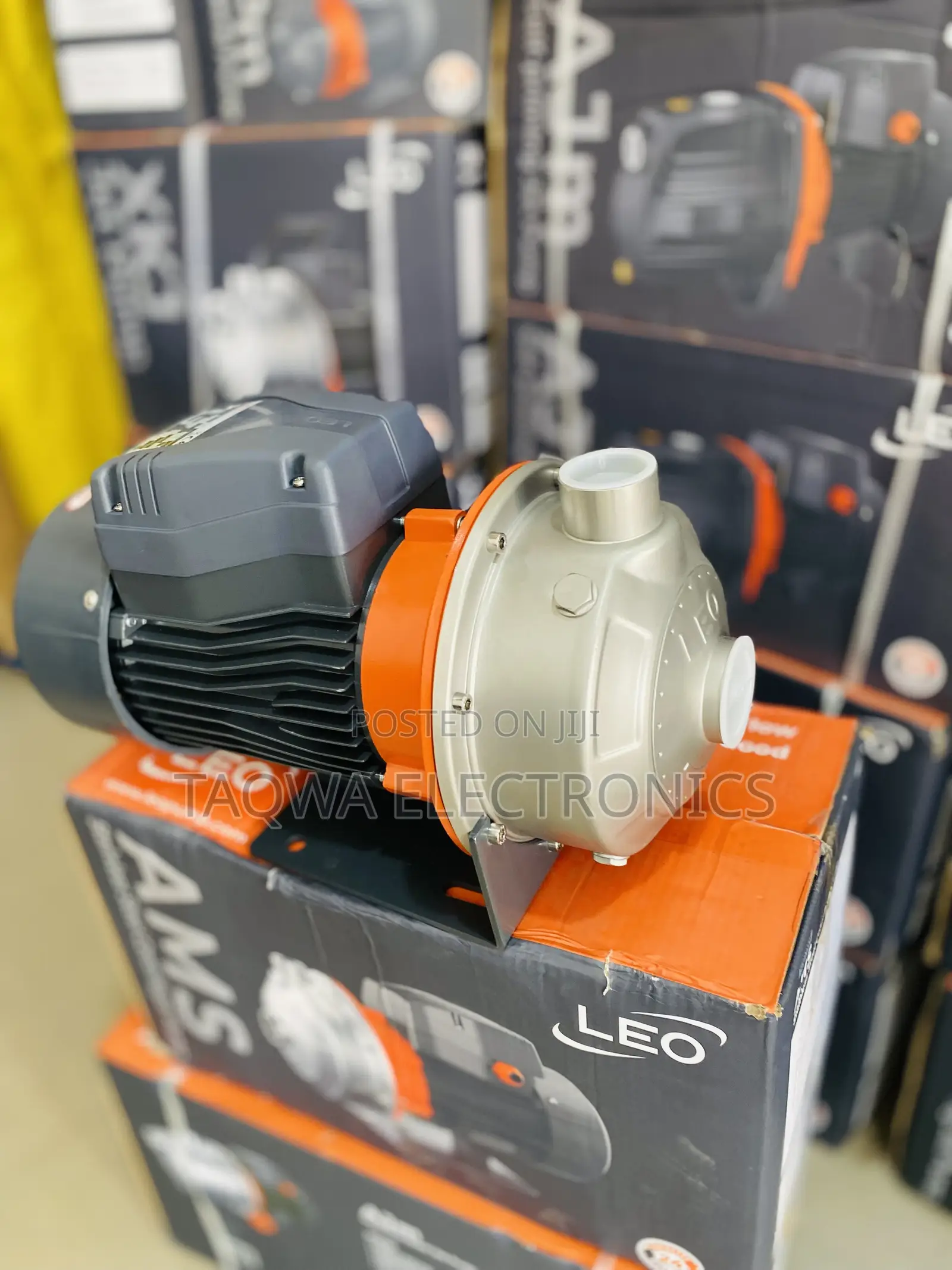 Keep the Flow With Leo 3hp Stainless Water Pump