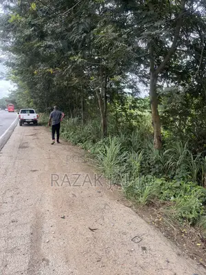 4 Acres of Roadside Land for Sale
