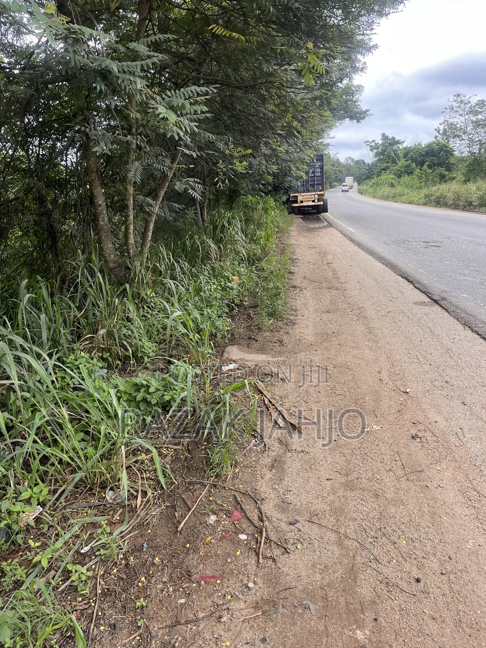 4 Acres of Roadside Land for Sale