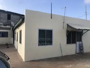 Painting Professionals_ Affordable and Reliable