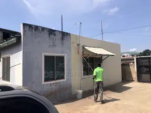 Painting Professionals_ Affordable and Reliable