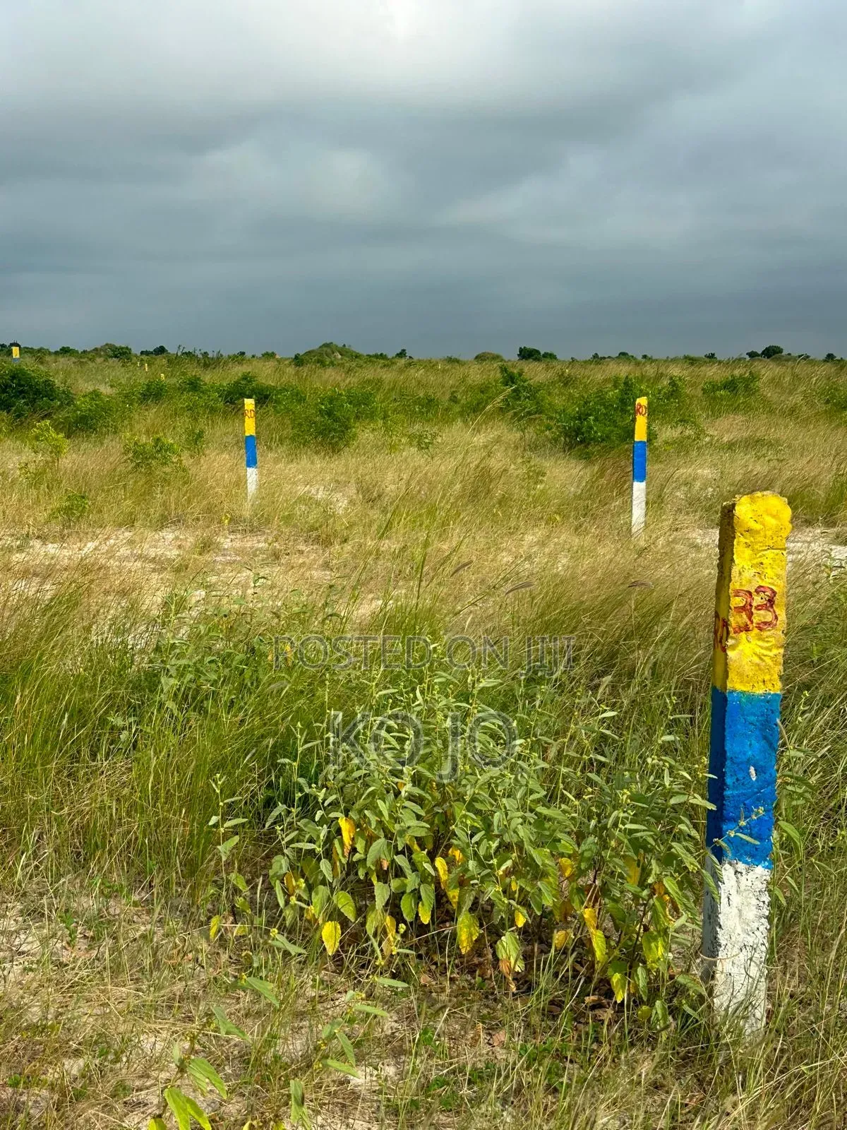 5 Acres of Registered Land