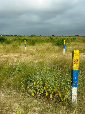 5 Acres of Registered Land