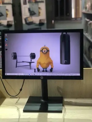 HP compaQ LCD Monitor