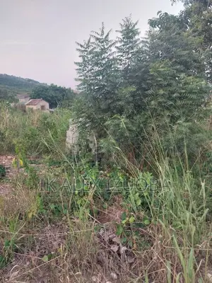 4 Plots of Title Land for Sale at Oyarifa