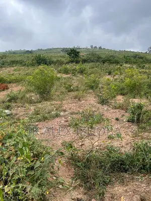 4 Plots of Title Land for Sale at Oyarifa