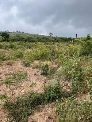 4 Plots of Title Land for Sale at Oyarifa