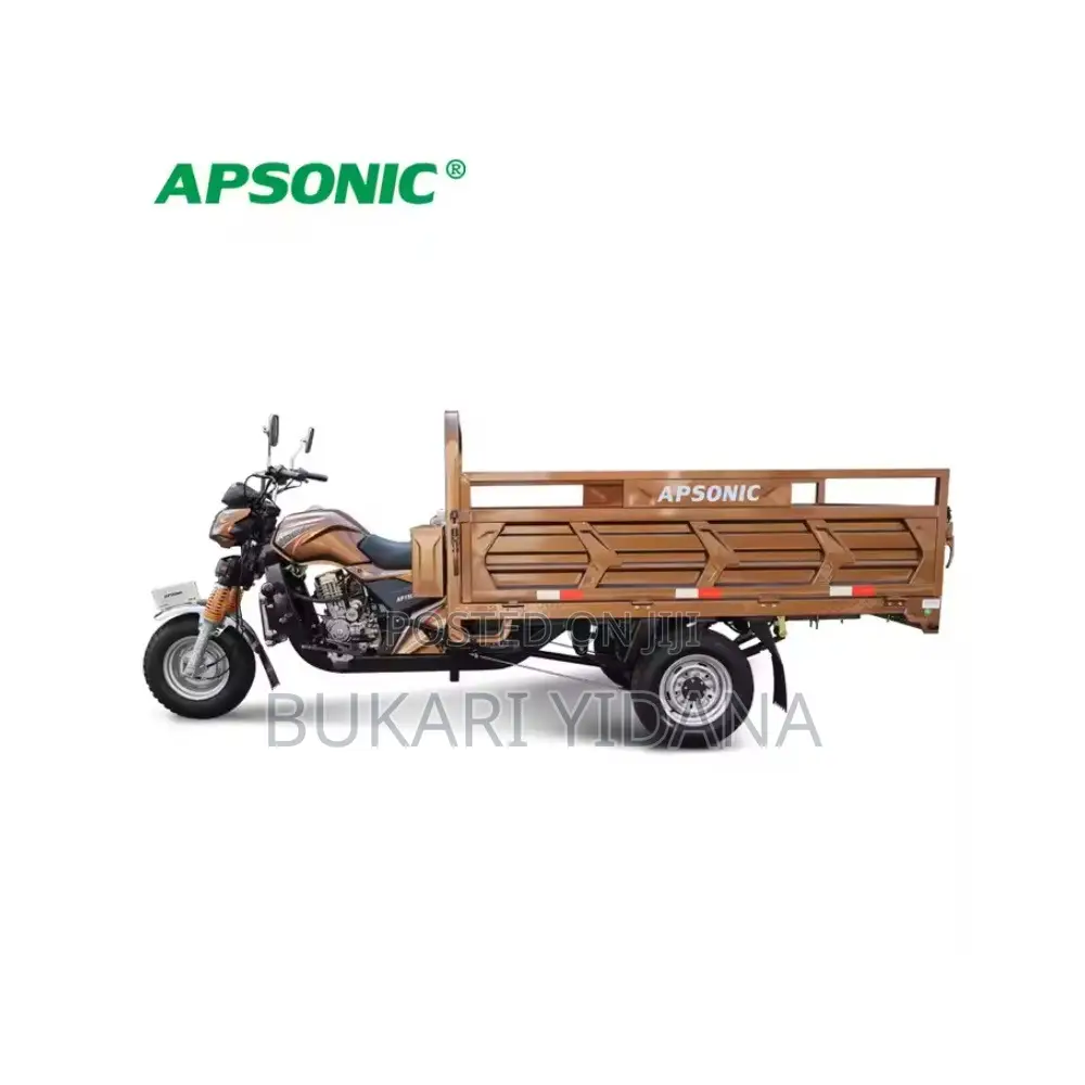 New Apsonic AP200ZH-A 2026 Brown