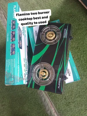 Flamino 2 Burner Gas Cooker – Stylish Stainless Steel Burner Design