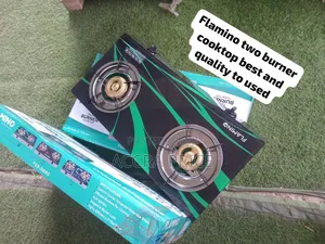 Flamino 2 Burner Gas Cooker – Stylish Stainless Steel Burner Design