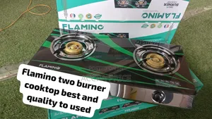 Affordable FlaminoDouble Burner Stove Efficient Cooking for Every Home