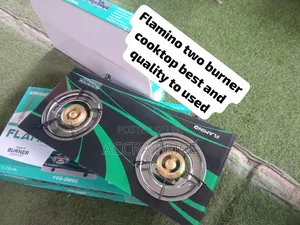 Brand New Flamino Double Burner Gas Stove – Quality at a Great Price
