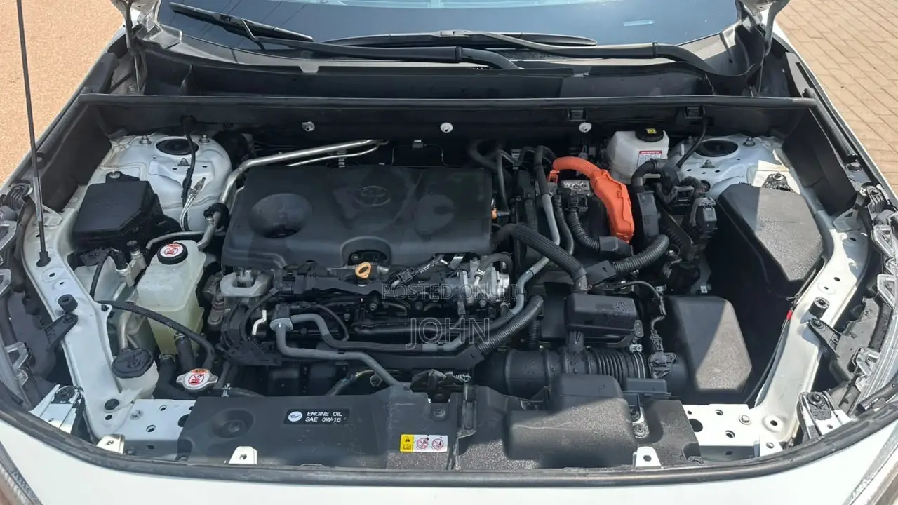 Toyota RAV4 XLE 2025 White