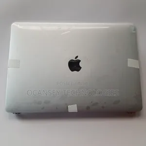 Original Apple A2179 Silver Macbook Screen