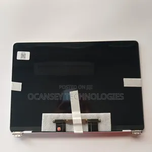 Original Apple A2179 Silver Macbook Screen