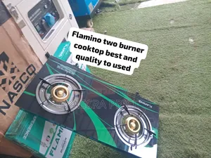 Affordable 2 Burner Flamino Gas Stove Perfect Kitchen Cooking Solution