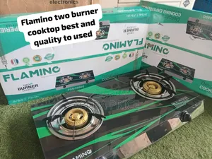 Flamino 2 Burner Gas Stove – Fast Heating Efficient Gas Consumption