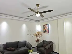 Modern Ceiling Fanlight With Remote - 4 Blades
