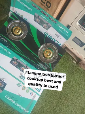 Flamino 2 Burner Kitchen Gas Stove – Premium Quality at a Sweet Price