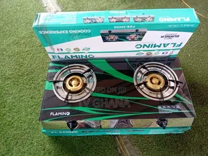 FLAMINO FGS_2000 2-Burner Gas Stove – Premium Kitchen Appliance