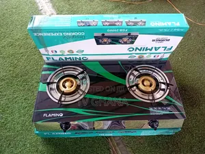 FLAMINO Two Burner Gas Stove FGS_2000 – Super Quality Affordable