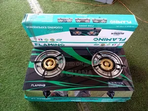 Best Value FLAMINO FGS_2000 2 Burner Gas Stove – Durable,