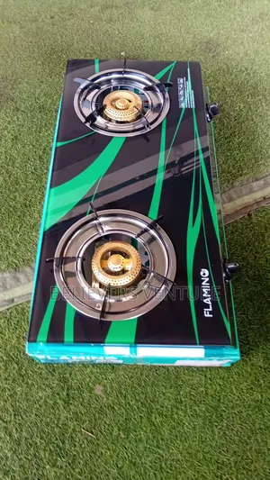 Flamino 2-Burner Gas Cooker – Make Cooking Quick Easy