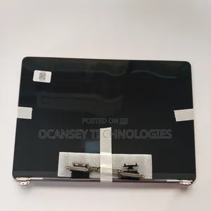 Original Apple A2251 Grey Macbook Screen