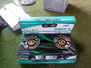 High Quality FLAMINO FGS_2000 2 Burner Gas Stove – Durable Easy