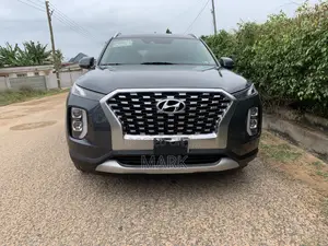 Hyundai Palisade 2020 Gray